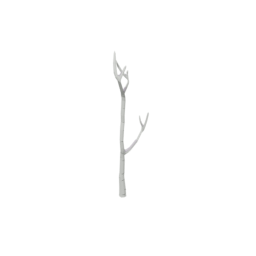 Birch Tree Dead Snow 5